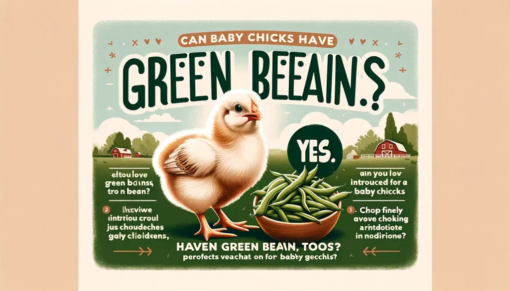 DALL·E 2024 03 16 06.21.52 Create a friendly and informative social media graphic titled Can Baby Chicks Have Green Beans Too This 1200 x 628 pixels graphic is perfect for p 1