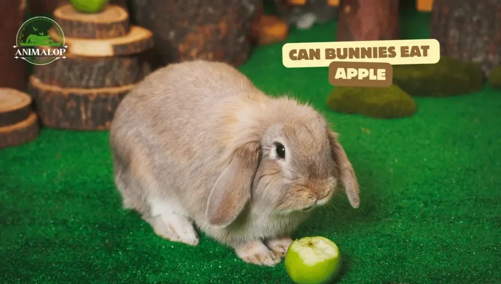 Can Bunnies Eat Apple